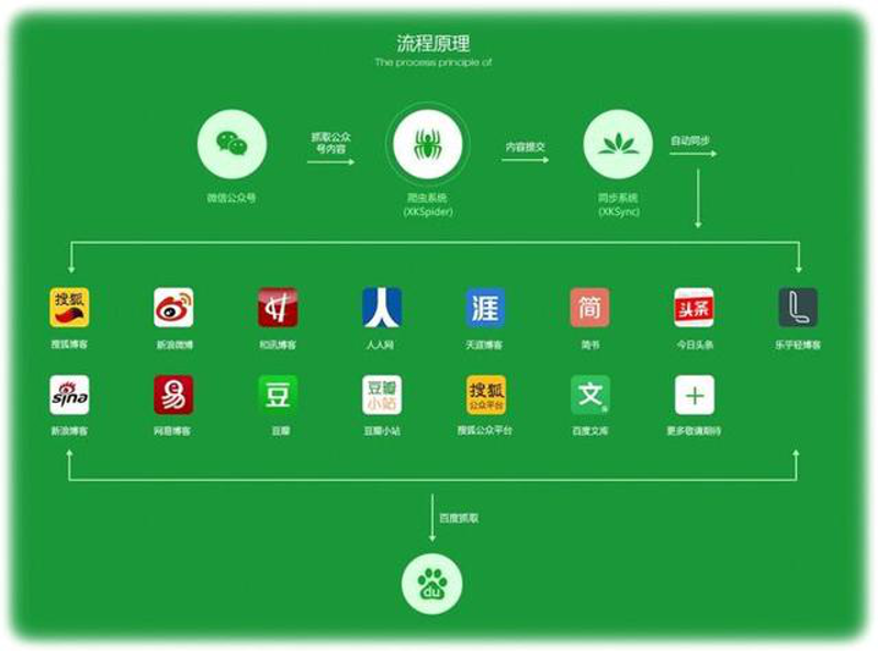 新媒体运营:风口上的新机遇