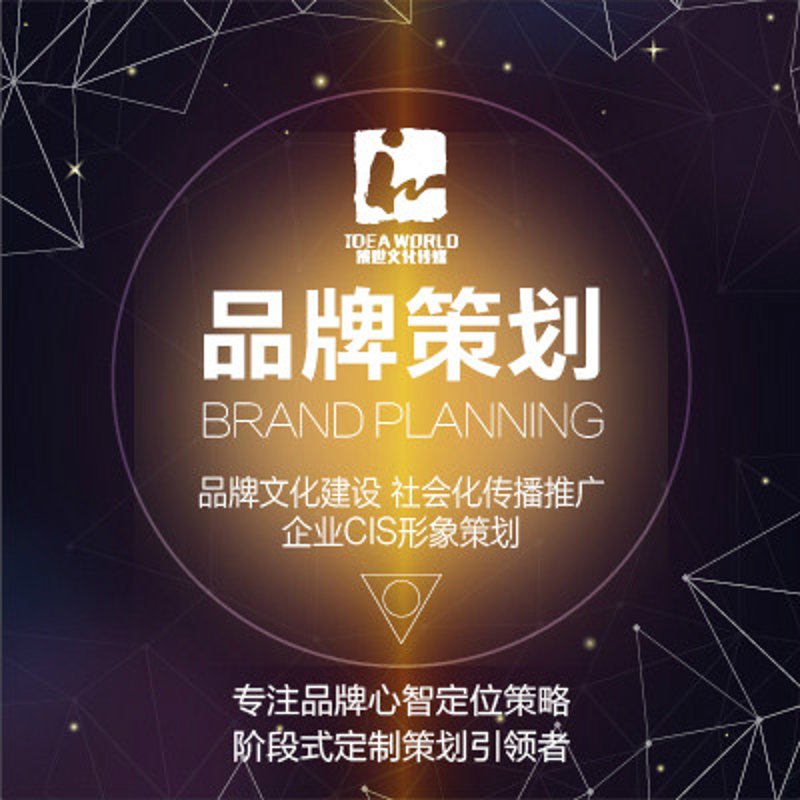 品牌策划:构建企业生命力的艺术
